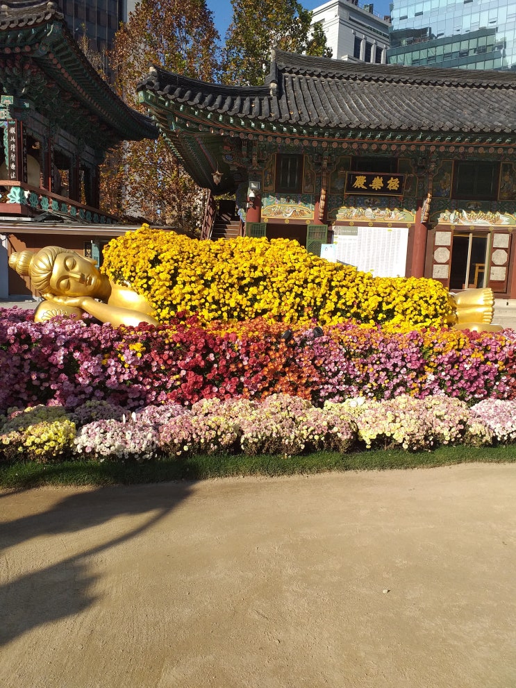  대한불교조계종 직할교구 본사. 조계사(曹溪寺)