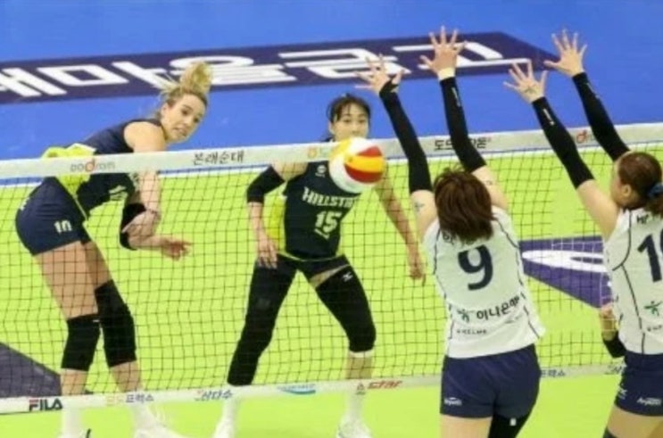 KOVO 프로배구 16일 현대건설 도로공사 KOVO 프로배구 16일 현대건설 도로공사