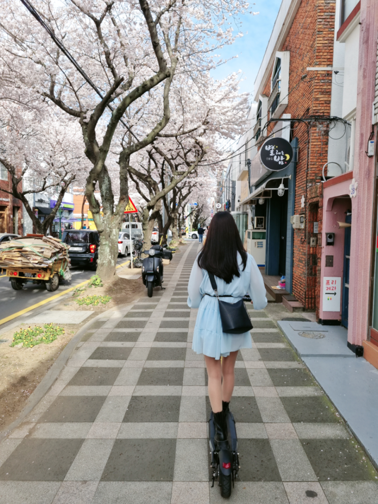  킥보드여행