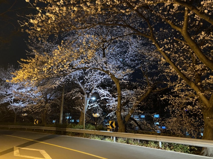 [운동] 창원진해 업힐 추천코스 안민고개 라이딩