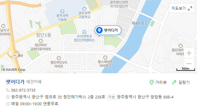 사진 4