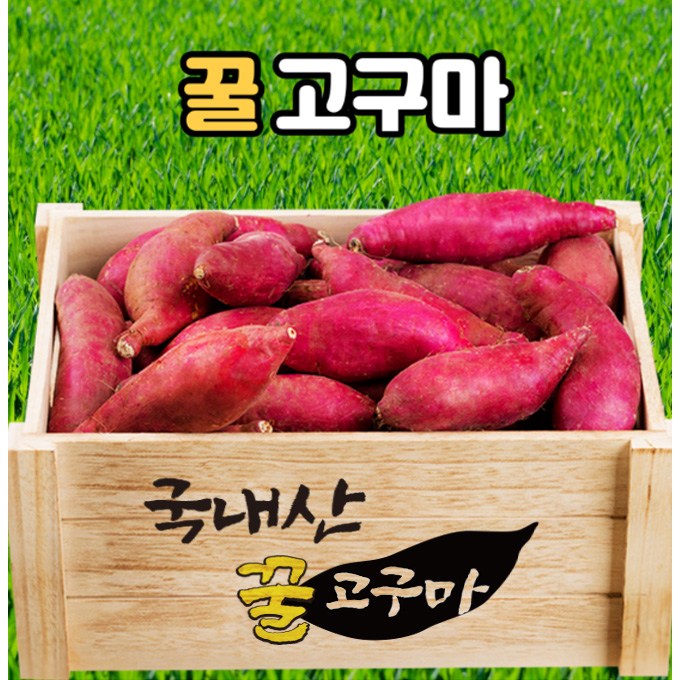 구매평 좋은 국내산 꿀 고구마 베니하루카고구마 꿀 밤고구마 2kg 3kg 5kg 10kg, 꿀고구마, 한입사이즈 (40g~50g) 추천해요 구매평 좋은 국내산 꿀 고구마 베니하루카고구마 꿀 밤고구마 2kg 3kg 5kg 10kg, 꿀고구마, 한입사이즈 (40g~50g) 추천해요