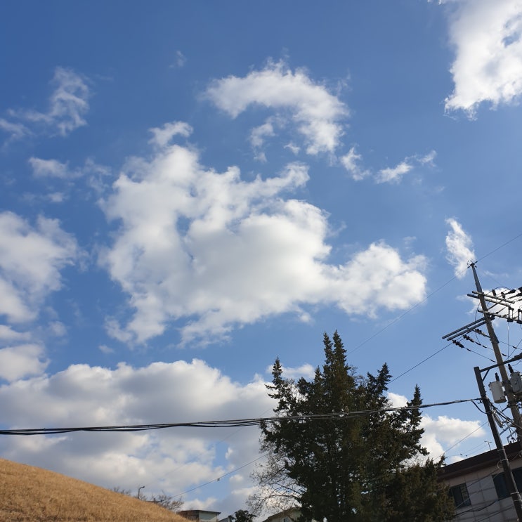  코로나와 미세먼지에 지쳐 집콕탈출 카페탐방 !