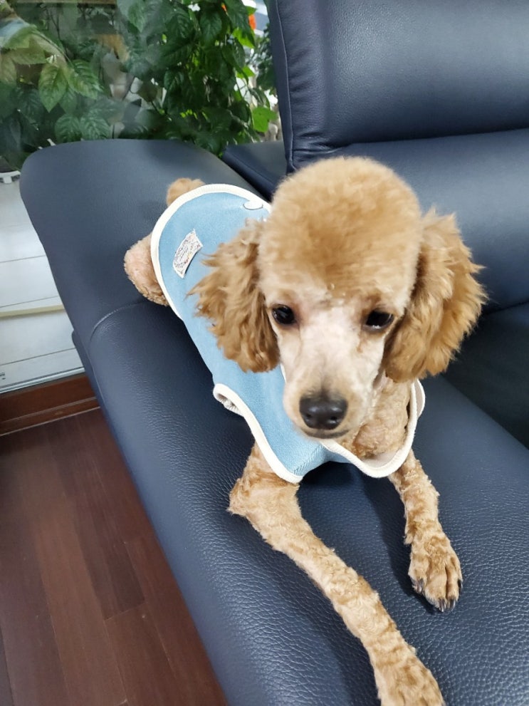  탈바꿈 누구개~??