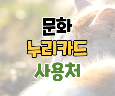 문화누리카드 사용처 잔액조회 정리