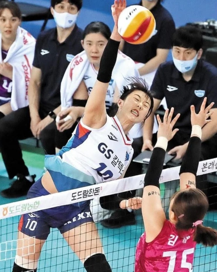 KOVO 26일 프로배구 여자배구 흥국생명 GS칼텍스 KOVO 26일 프로배구 여자배구 흥국생명 GS칼텍스