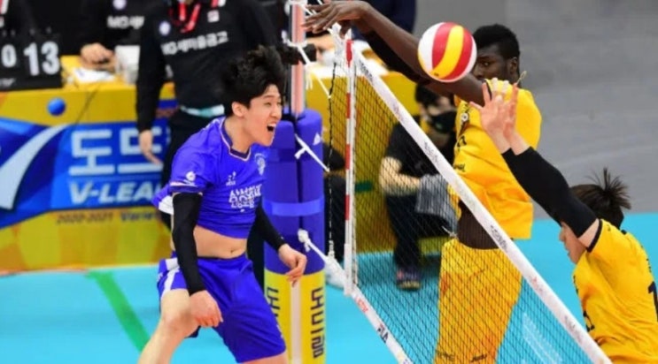 KOVO 프로배구 남자배구 10일 삼성화재 KB손보 KOVO 프로배구 남자배구 10일 삼성화재 KB손보