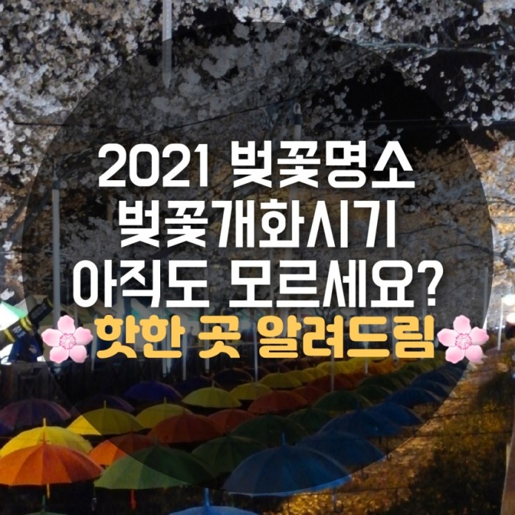 2021 벚꽃 개화시기 부산 김해 진해 벚꽃 명소 꼭집어 정리합니다