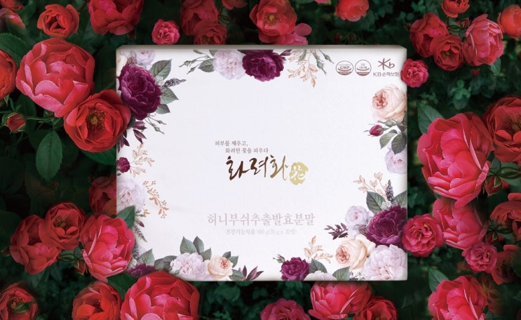  3월 300분 한정! [광고요정 화려화 이벤트] 진행