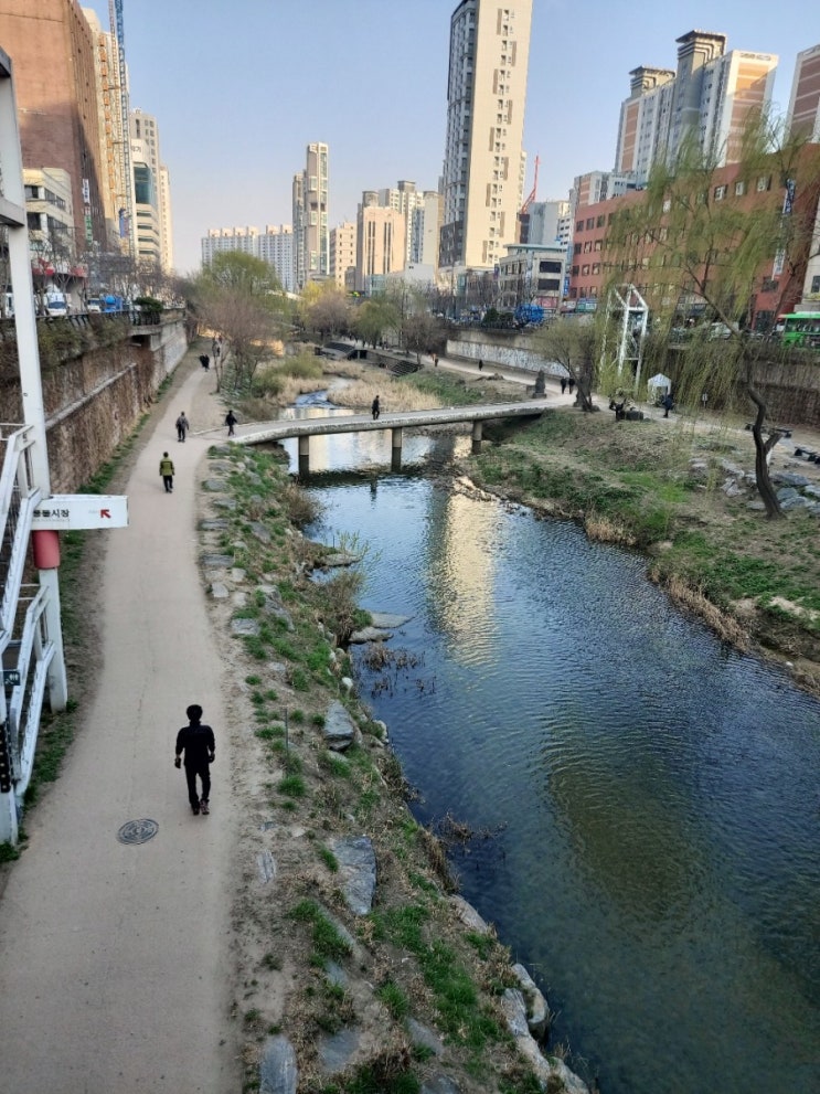  2021.03.23 서울 나들이 (3) - [청계천 ] 서울 종로구 창신동 청계천 산책