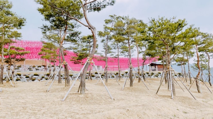  영산불교 춘천 큰 절 현지사