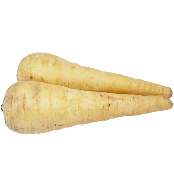 가성비 좋은 파스닙 300g 설탕당근 Parsnip Pastinaca ···