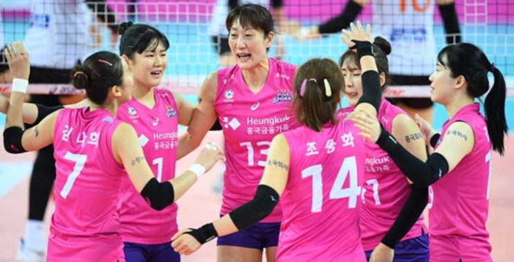 KOVO 프로배구 17일 현대캐피탈 vs 한국전력 IBK기업은행 vs 흥국생명 KOVO 프로배구 17일 현대캐피탈 vs 한국전력 IBK기업은행 vs 흥국생명