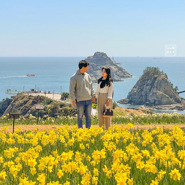  오륙도 수선화 인생샷 해맞이공원 포토존 위치