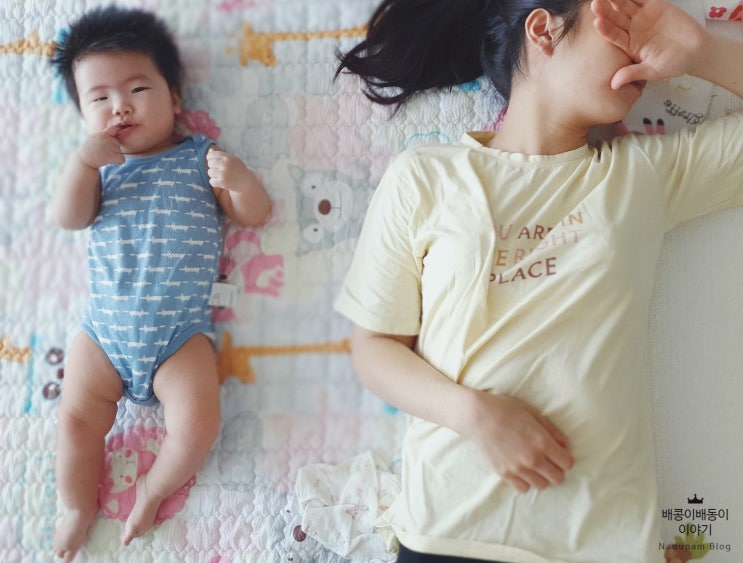  출산후 산모 아기영양제 뉴질랜드 양유 츄어블