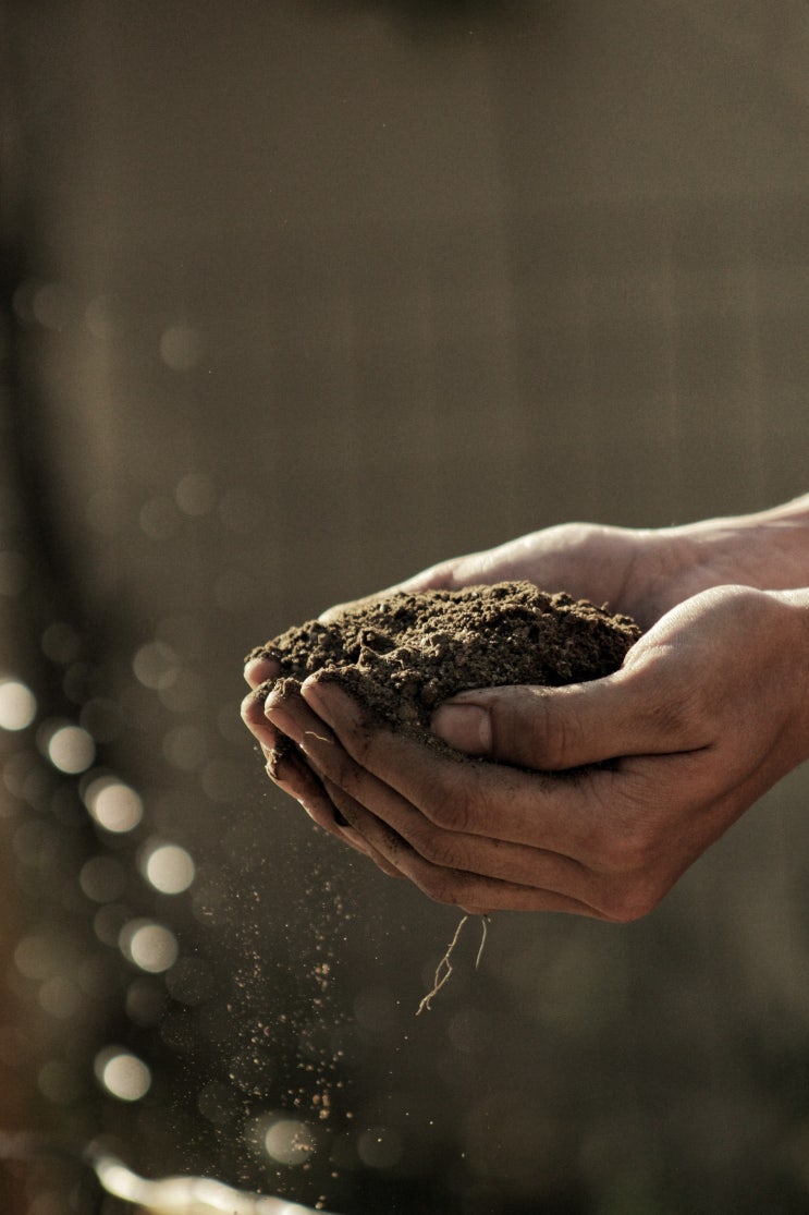 농림토양평가관리산업기사 Industrial Engineer in Soil Assessment and Management 농림토양평가관리산업기사 Industrial Engineer in Soil Assessment and Management