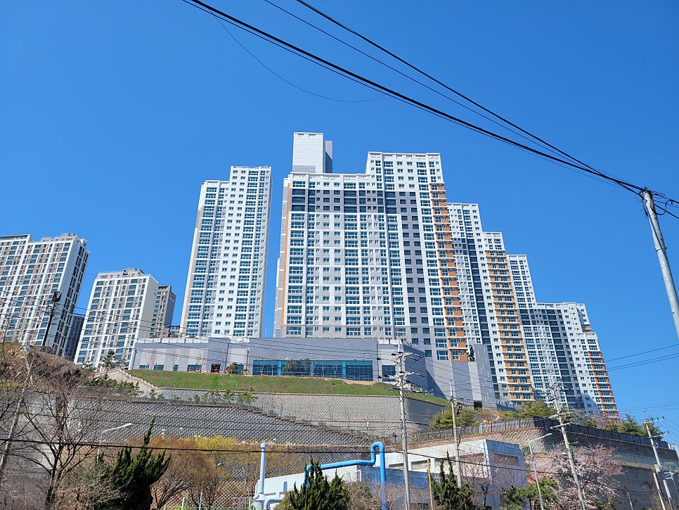 바다양푼이동태탕 부산구평점 사진 2