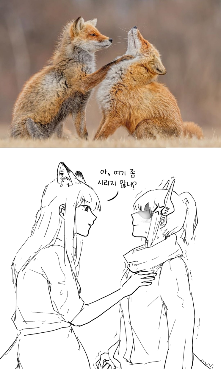  [번역] 리스캄의 가슴(제목 미상) [Beanous] [명일방주/단편]