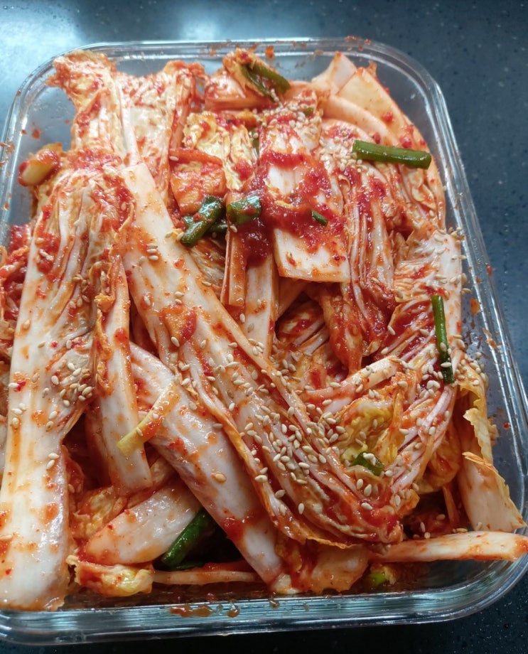 알배기배추 겉절이 임지호표 봄김치양념 봄김치1 알배기배추 겉절이 임지호표 봄김치양념 봄김치1