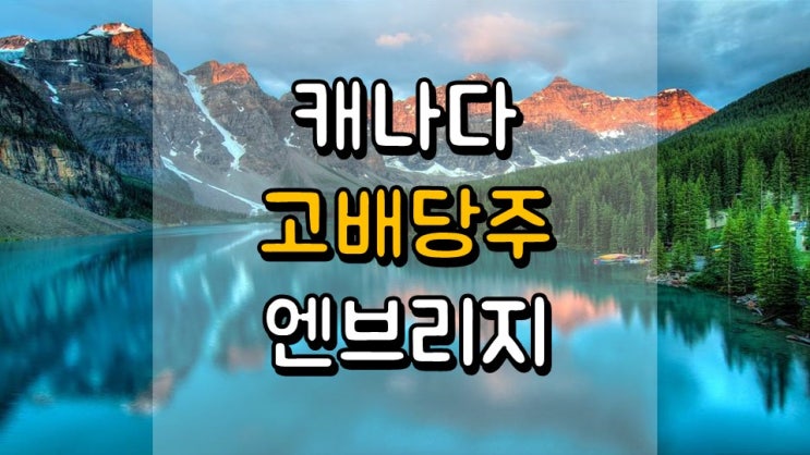  캐나다 고배당주 엔브리지 - 주가 전망, 배당 정보, ENB