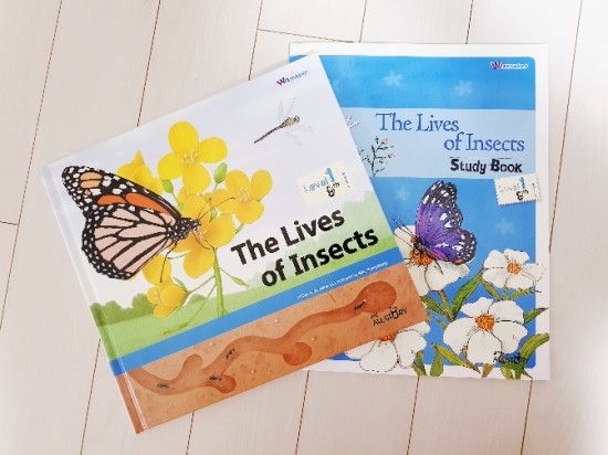 교원 영어소전집 Wizmaker - 아이와 함께 'The Lives of Insects' 책을 읽고 독후활동하기!