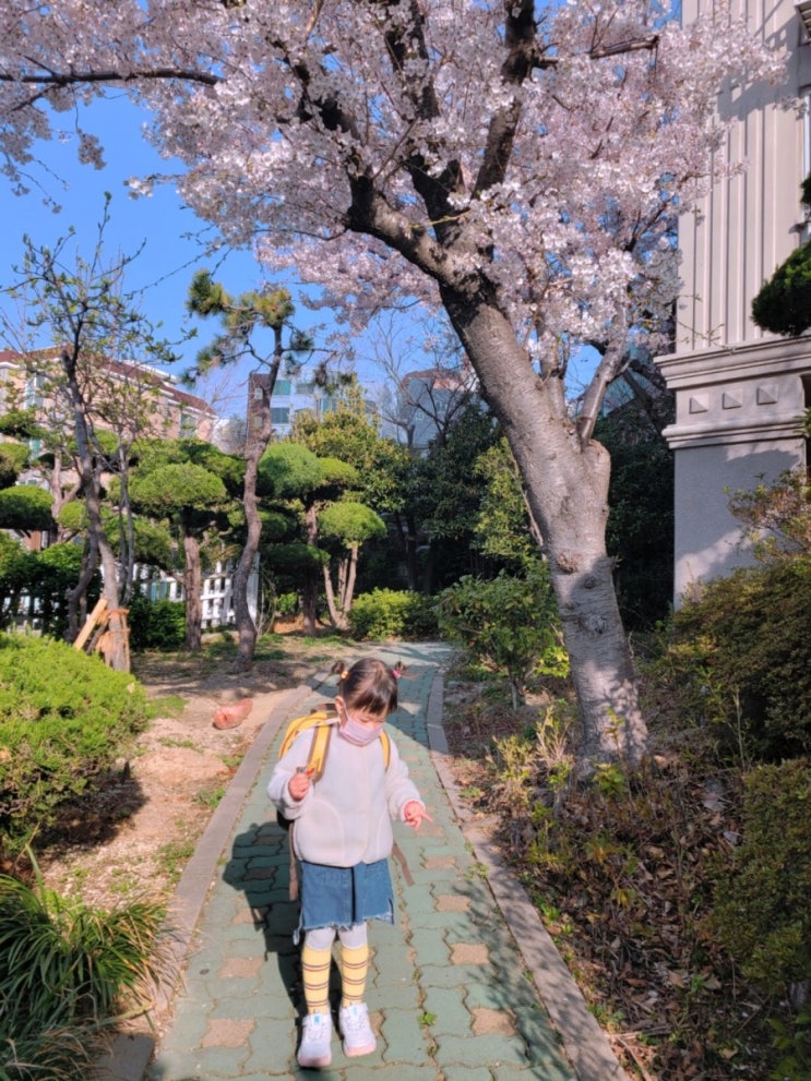  [등원복] 꼬맹아 옷 입자 21