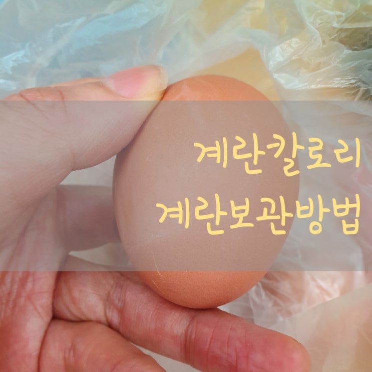  삶은계란칼로리 삶은계란보관법
