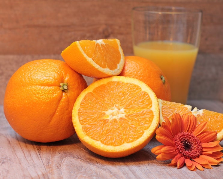 비타민 C와 암치료 - 소개