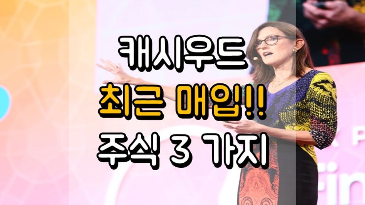  캐시우드 최근 매입 주식 3 가지 - 공통점, 언택트 관련주, TWLO, TDOC, ZG