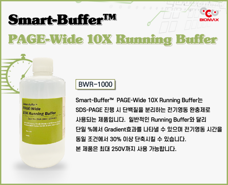 Smart-Buffer PAGE-Wide 10X Running Buffer