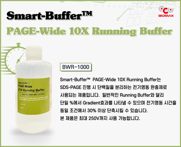  Smart-Buffer PAGE-Wide 10X Running Buffer