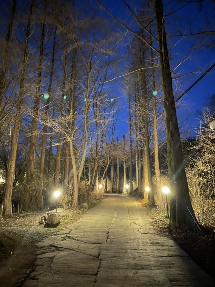  용인 기흥 분위기있는 레스토랑 _ 여시관