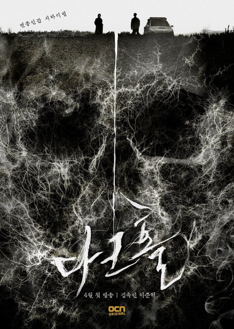  OCN 토일드라마 [방영예정] 다크홀