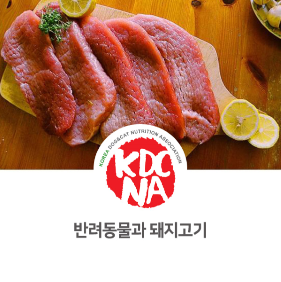  [한국반려동물영양협회/익산/군산/전주/대전/세종/구미/포항/울산/펫푸드자격증] 강아지 고양이 돼지고기 영양 및 추천동물_769