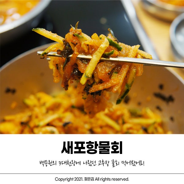 백종원의 삼대천왕에 나온 포항 새포항물회 다녀왔어요 백종원의 삼대천왕에 나온 포항 새포항물회 다녀왔어요