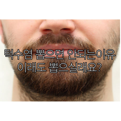  턱수염 뽑으면 안 되는 이유!이래도 뽑으실래요?