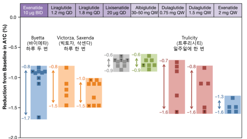 glp 1 agonist 종류 당뇨약 이야기 (3)