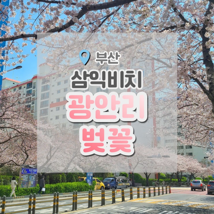  광안리 벚꽃 , 부산벚꽃명소 삼익비치 다녀왔어요. (광안리 달톡)