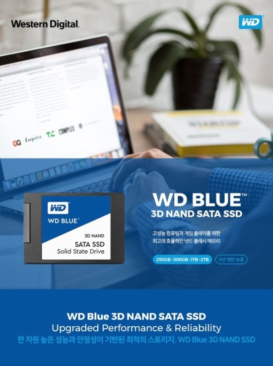  가성비SSD Western Digital WD Blue 3D SSD (500GB) 사용후기