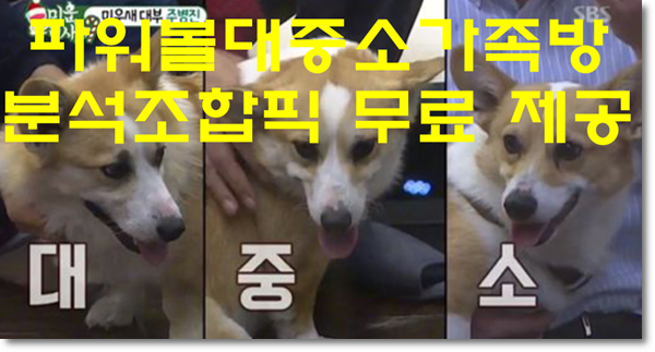  파워볼대중소 분석도 해주는 픽방 추천해드려요^^
