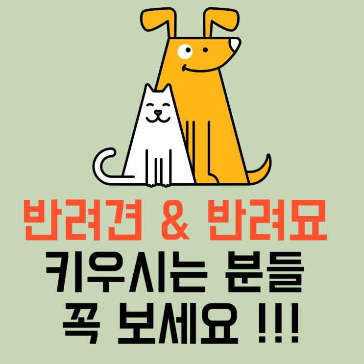  안보시면 무조건 손해보는 반려동물 무료복지 서비스.