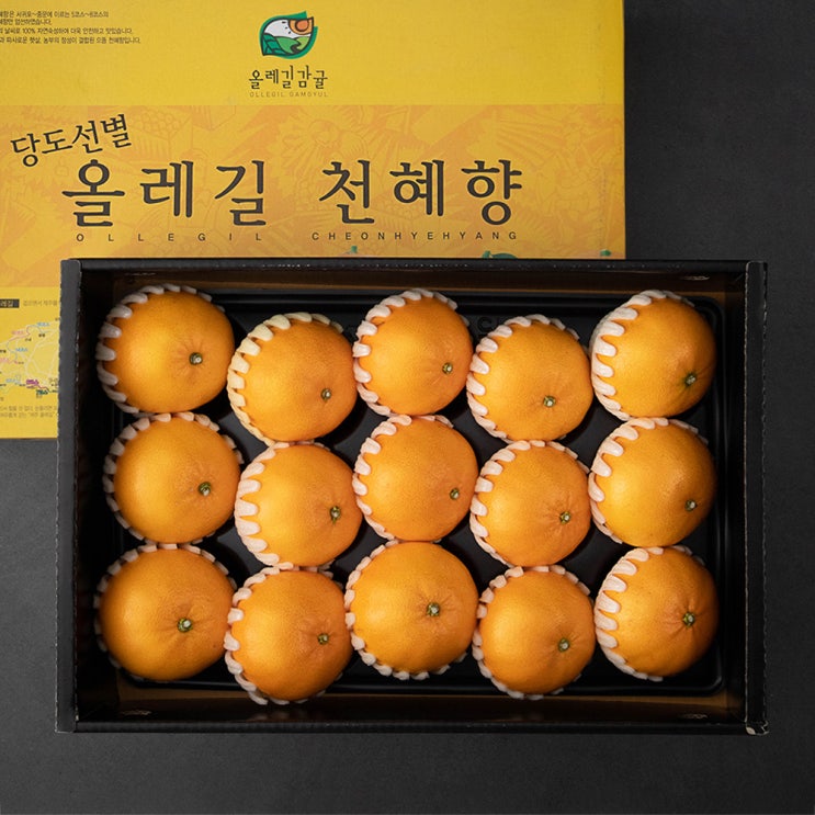 리뷰가 좋은 올레길 GAP 인증 당도선별 천혜향 선물세트, 5kg(14~17입), 1세트 좋아요 리뷰가 좋은 올레길 GAP 인증 당도선별 천혜향 선물세트, 5kg(14~17입), 1세트 좋아요