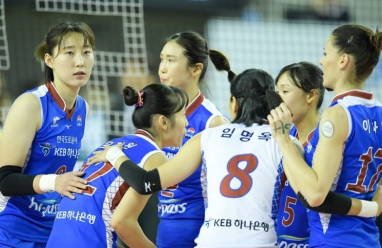 KOVO 프로배구 17일 우리카드 vs KB손해보험  도로공사 vs GS칼텍스