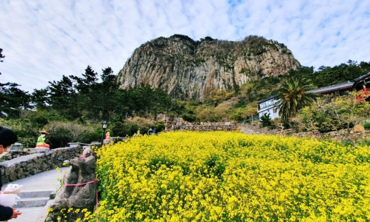  현재 제주? 여행중