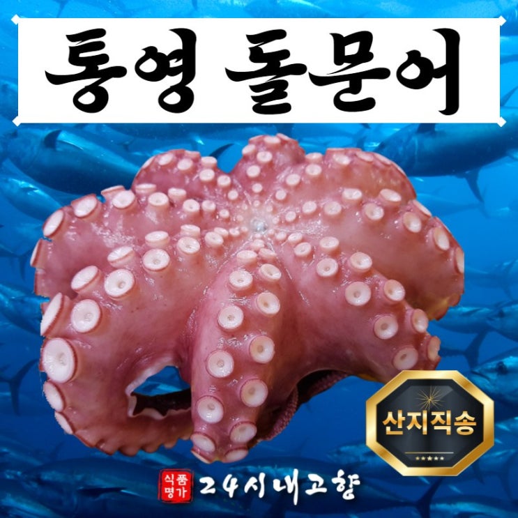 많이 찾는 제수용 자숙 손질 문어 1kg 2kg 3kg 제주도 돌문어 데친문어, 500g 추천해요