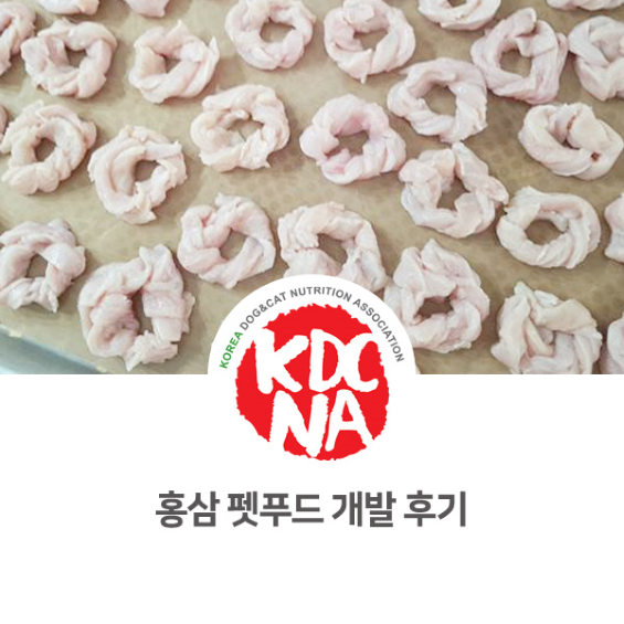  [펫영양사/펫푸드자격증/박은정펫푸드아카데미/한국반려동물영양협회/전주/대전/강릉/제주/부산/대구/여수/광주/진주] 홍삼 펫푸드 애견수제간식 개발 제조 후기_760