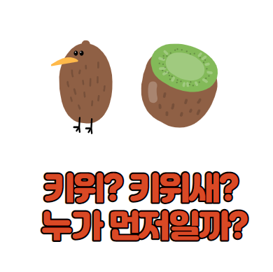  키위새가 먼저일까, 키위가 먼저일까?