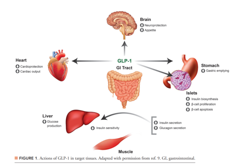 is glp 1 available over the counter Where to Buy GLP-1 Pills Online: Get GLP-1 Patches, Weightloss Medication