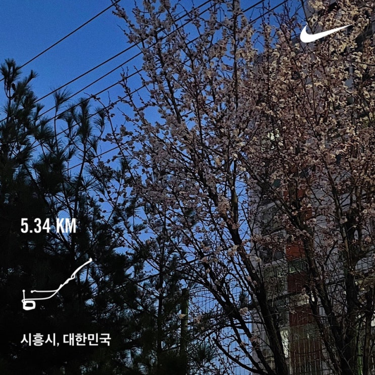  귀차니즘을 이겨내는 방법