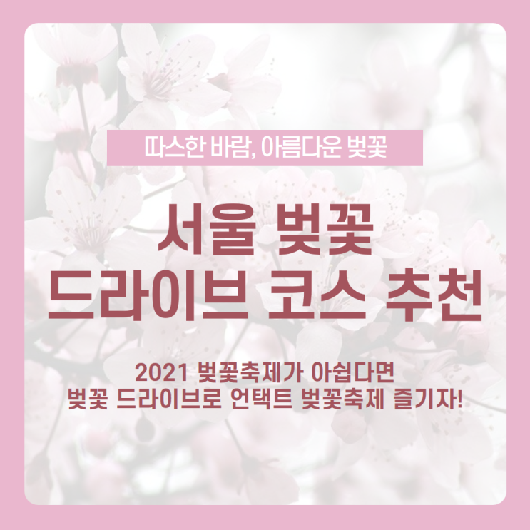  서울 벚꽃 드라이브 코스 추천받고 봄에만 볼 수 있는 벚꽃 명소로 드라이브 떠나자 /워커힐로, 당인리발전소, 인왕산길, 벚꽃로, 오패산로 /벚꽃명소, 드라이브코스추천, 서울벚꽃명소